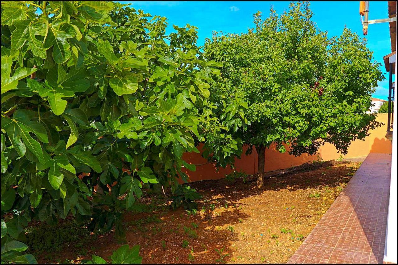 קוניל דה לה פרונטרה Chalet Rustico Roche מראה חיצוני תמונה